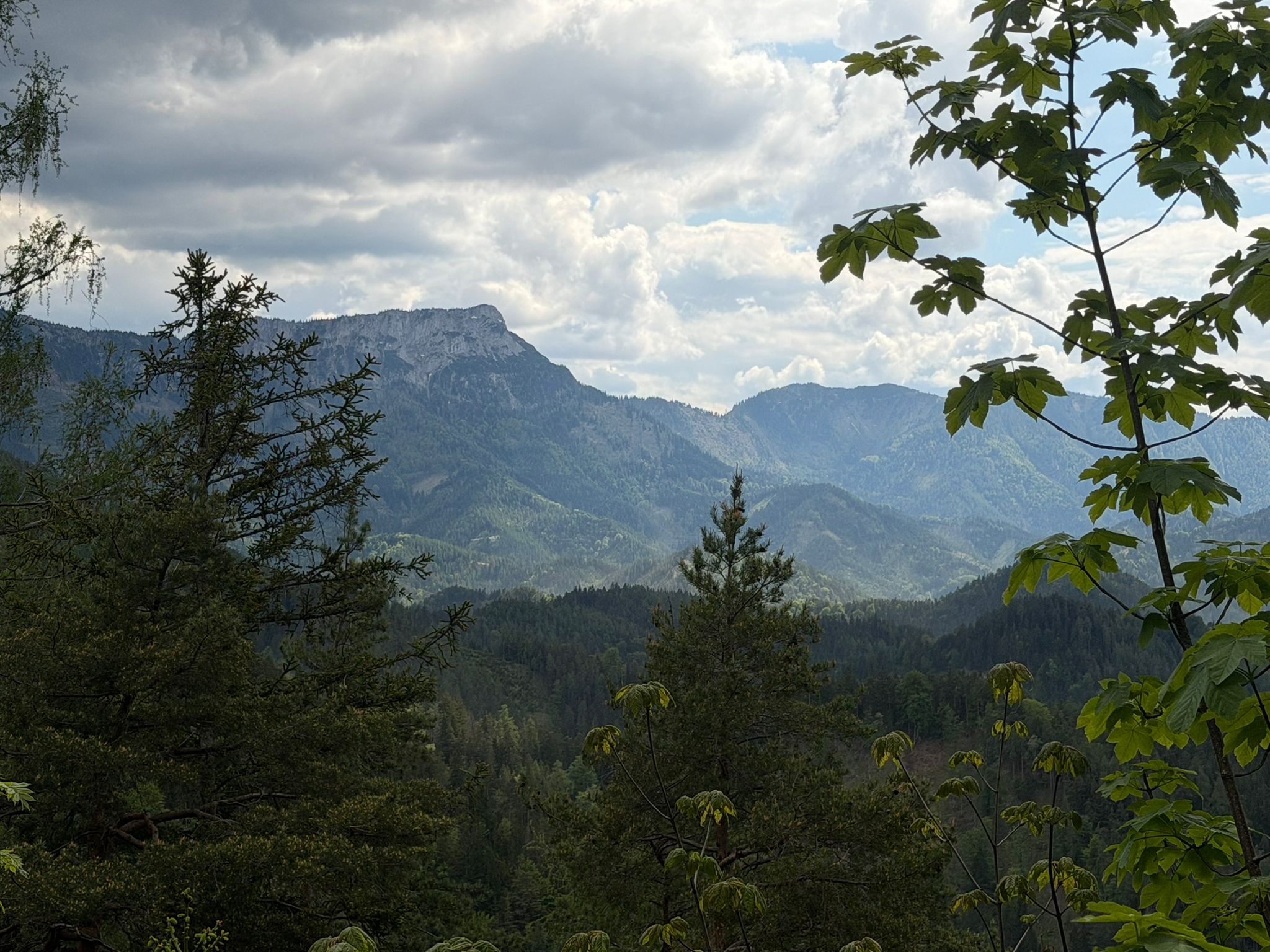Lehrerwandertag_6